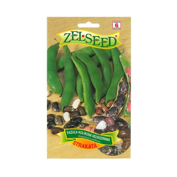 Fazuľa kolíková veľkozrnná STRAKATÁ 38 g Zelseed