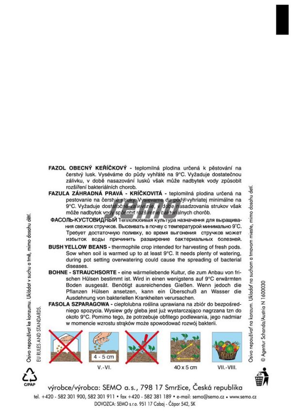 Fazuľa kríčková BERGGOLD 20 g SEMO - Image 3