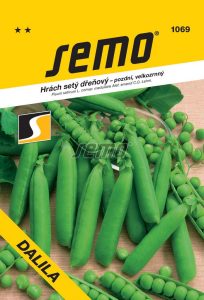 Hrach pravý DALILA 50 g SEMO