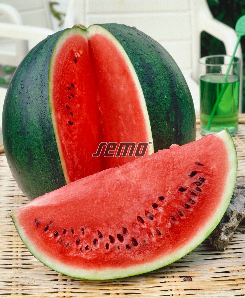 Melón vodový LajkoII F1 0,6 g SEMO – Obrázok 3