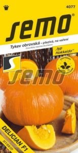 Tekvica DELICIAN F1 5 sem. SEMO