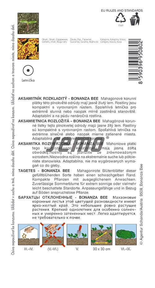 Aksamietnica rozložitá BONANZA BEE 30 sem. SEMO popis