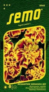 Aksamietnica rozložitá BONANZA BEE 30s. SEMO