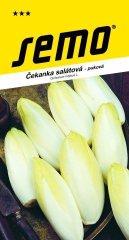 Čakanka šalátová Mechelse Middelvroeg 0,6g SEMO