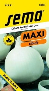 Cibuľa biela BLANCO DURO/ SOUTHWHITE GLOBE 1g SEMO