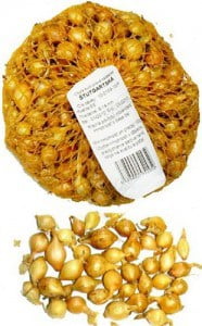 Cibuľa sadzačka ŠTUTGARTSKÁ 500g