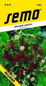 Jahoda mesačná RUJANA 0,2g SEMO