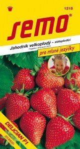 Jahoda veľkoplodá DELICIAN F1 12s. SEMO