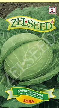 Kapusta skorá Zora 0,8g Zelseed