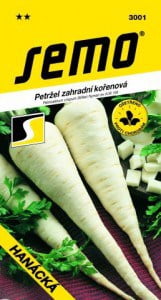 Petržlen koreňový HANÁCKA 3 g SEMO