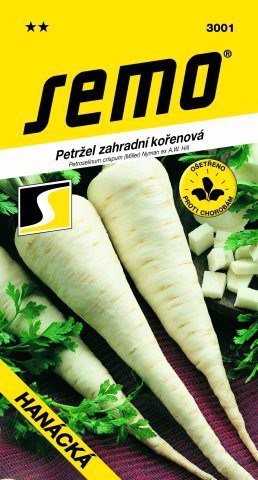Petržlen koreňový HANÁCKA 3 g SEMO