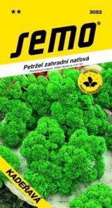 Petržlen vňaťový KADEŘAVÁ 4g SEMO