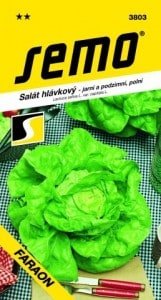 Šalát hlávkový FARAON 0,6g SEMO