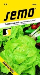 Šalát hlávkový MARATON 0,6g SEMO