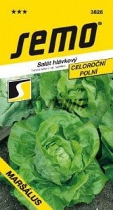 Šalát hlávkový MARŠÁLUS 0,8g SEMO