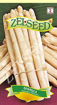 Špargľa Argentuil 1g Zelseed