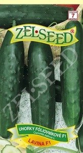 Uhorky fóliovníkové Lavina F1  10s Zelseed