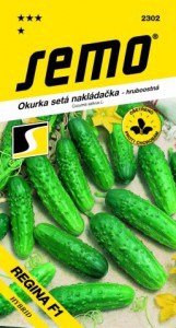 Uhorky nakladačky REGINA F1 2 g SEMO