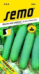 Uhorky šalátové PERSEUS F1 1,3 g SEMO