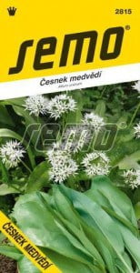 Medvedí cesnak 1g SEMO