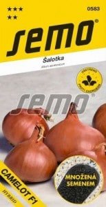 Cibuľa šalotka CAMELOT F1 50s. SEMO