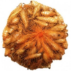 Cibuľa sadzačka Birnformige 250g