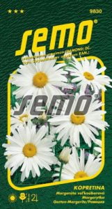 Margaréta veľkoúborová SHASTA DAISY 0,8g SEMO