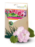 symbivit muskat