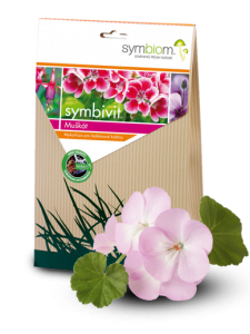 symbivit muskat