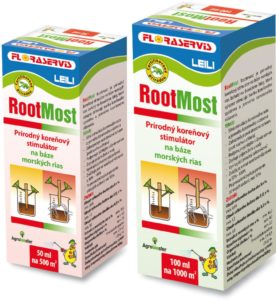 RootMost