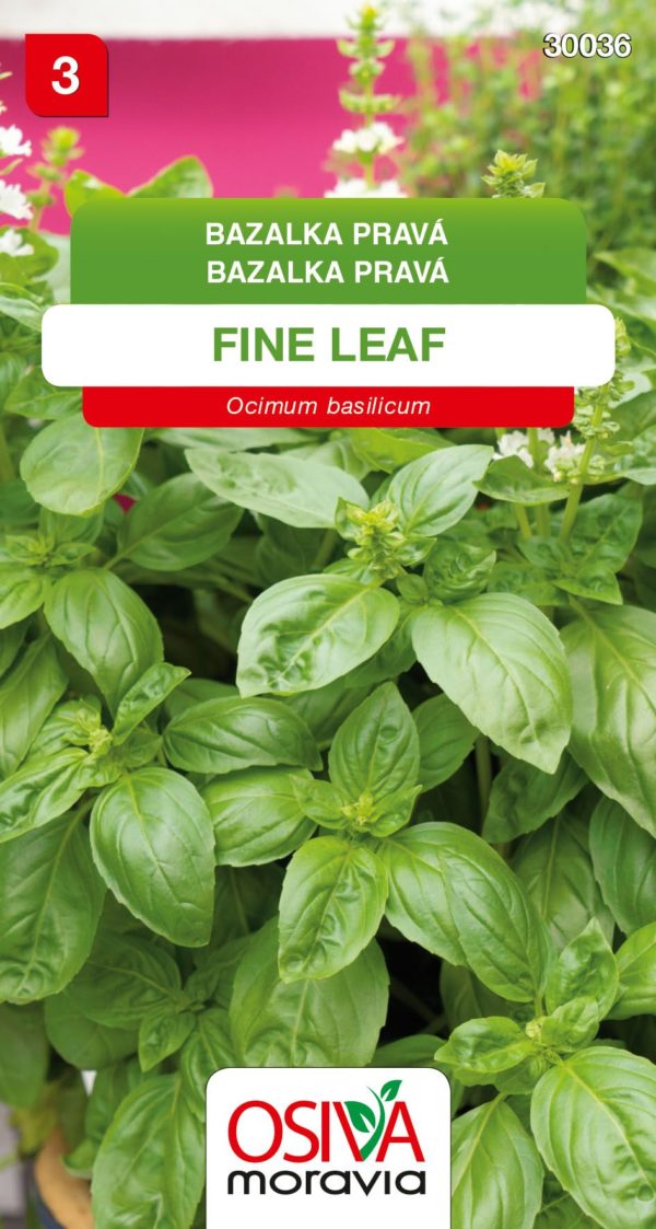 Bazalka FINE LEAF