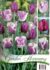 Tulipán kolekcia Purple tulips 18ks