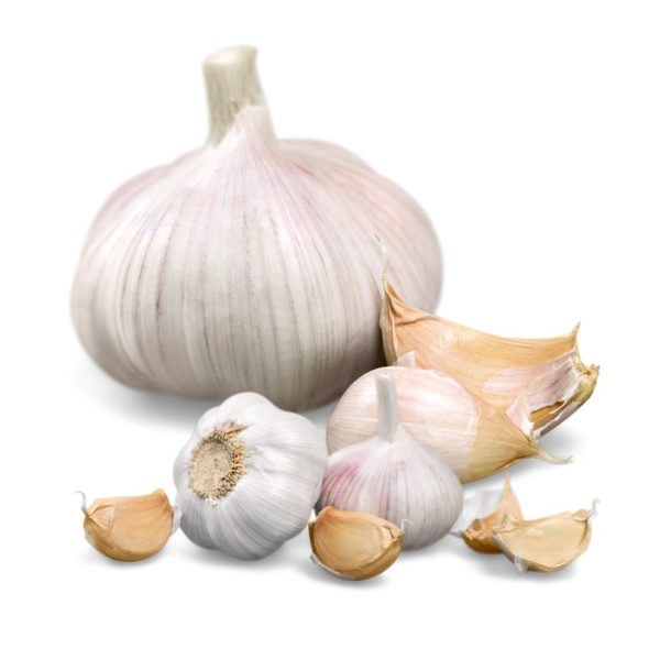 Cesnak sadbový MORADO paličiak