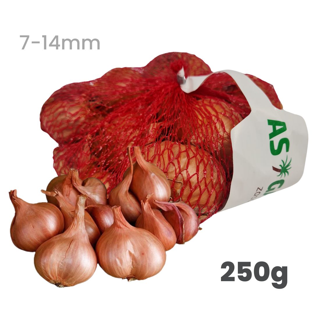 Cibuľa sadzačka šalotka červená 250g