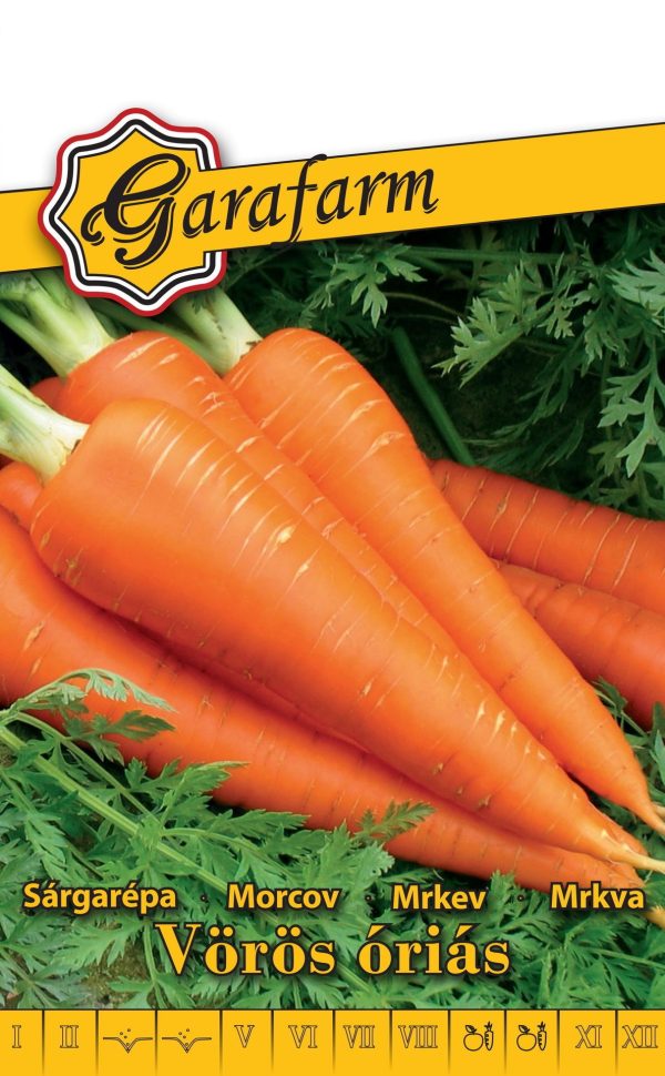 Mrkva neskorá VOROS ORIAS 4 g Garafarm