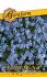 Nezábudka modrá Forget-Me-Not 0,5 g Garafarm