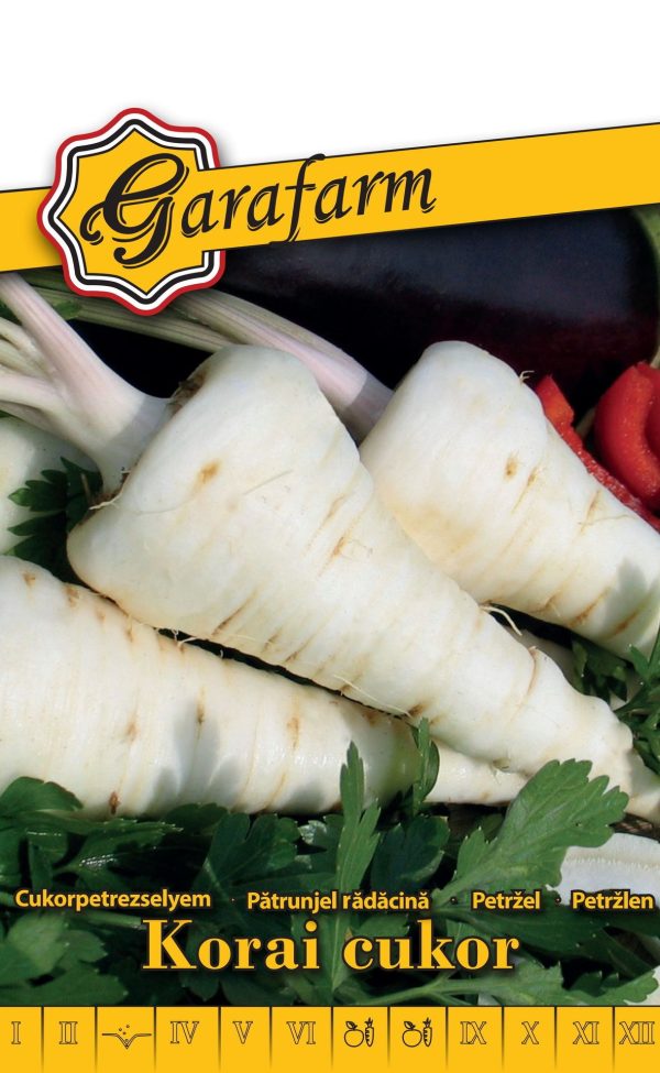 Petržlen koreňový KORAI CUKOR 3 g Garafarm