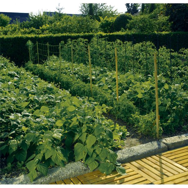 Sieť na hrach 1,2 x 5 m - Image 4