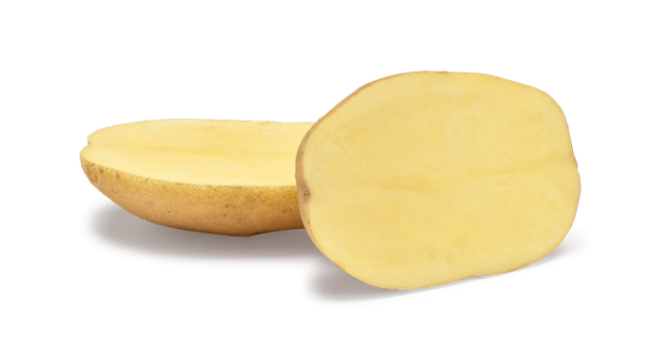 Zemiaky sadbové stredne neskoré 5 kg AGRIA žlté - Image 2