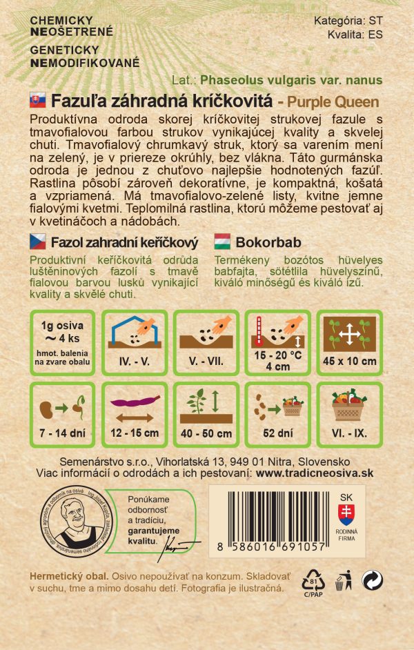 Fazuľa kríčková PURPLE QUEEN 20 g Semenárstvo - Image 2