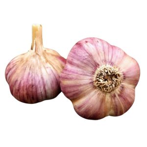 cesnak havran