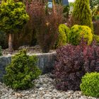 Okrasné rastliny do záhrady a domu