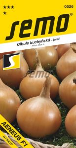 Cibuľa jarná Aeneus F1 2,5 g SEMO