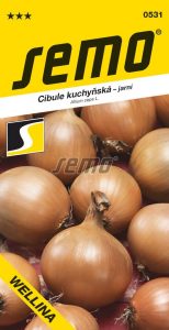 Cibuľa jarná WELLINA 2 g SEMO