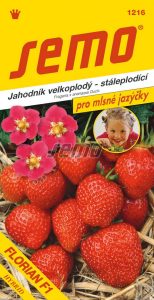 Jahoda veľkoplodá FLORIAN F1 12 sem. SEMO