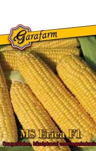 Kukurica cukrová supersladká MS Erica 6 g Garafarm