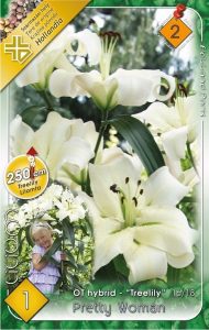 Ľalia Pretty Women 1 ks 16 18