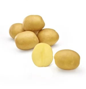 Zemiaky sadbové 5 kg GAYA DE 35 55 žlté